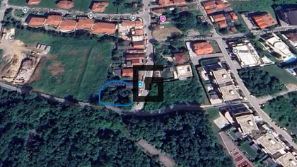 Miće Orlovića | 4zida.rs