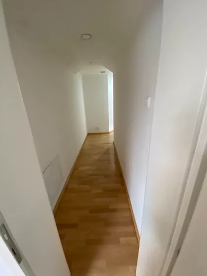 Toplice Milana | 4zida.rs