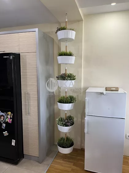 Đevđelijska | 4zida.rs