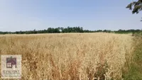 Poljoprivredno zemljište | 4zida