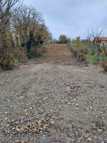 Vinogradska | 4zida.rs