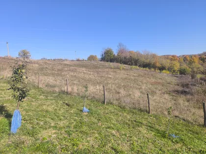 Goločelska | 4zida.rs