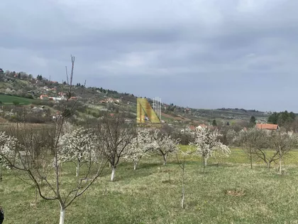 Sremska Kamenica | 4zida.rs