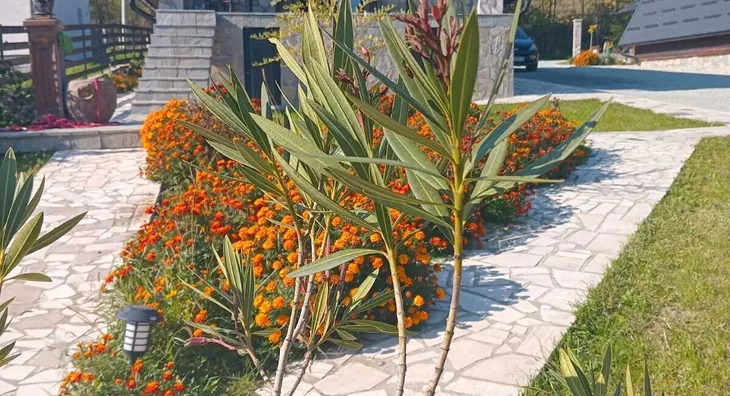 5-etažna kuća | 4zida