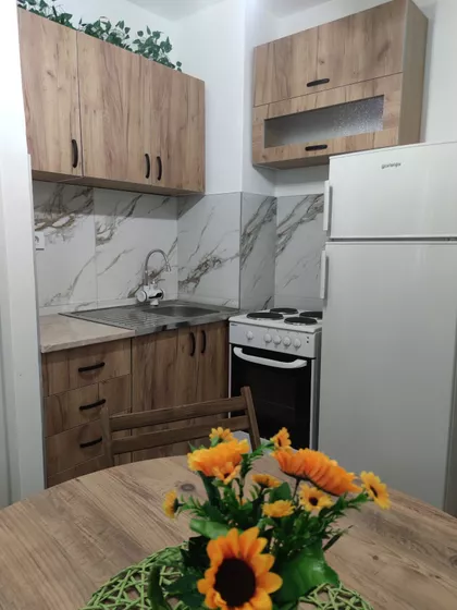 Knjaževačka | 4zida.rs