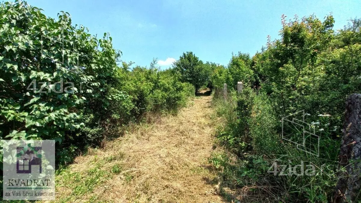 Plac | 4zida