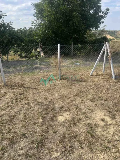 Bukovac | 4zida.rs