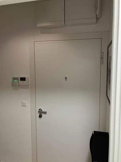Vase Pelagića | 4zida.rs