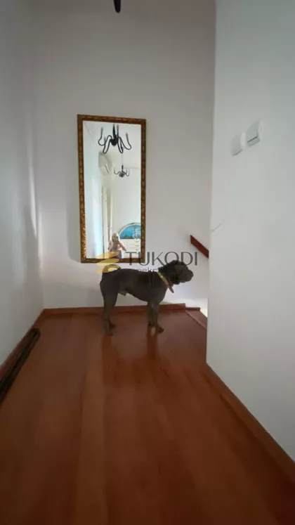 Stevana Sremca | 4zida.rs