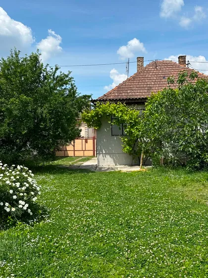 Bački Jarak | 4zida.rs