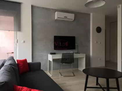 Novi Sad - Centar | 4zida.rs