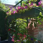 Petrovaradinsko Podgrađe - Gradić, Petrovaradin, Gradske lokacije, Novi Sad | 4zida.rs | 4zida.rs