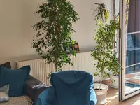 Gradske lokacije, Kruševac | 4zida.rs