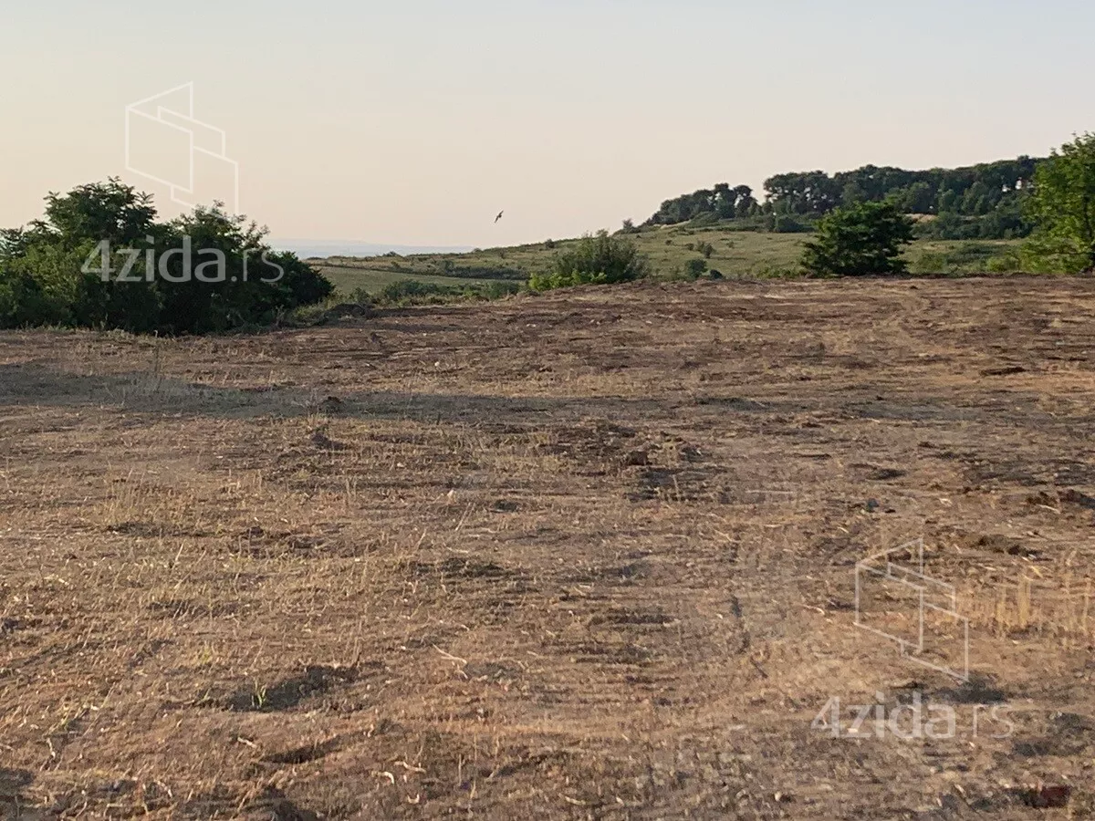 Plac | 4zida