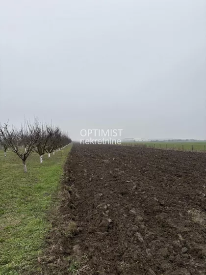 Male međe nova 28. | 4zida.rs