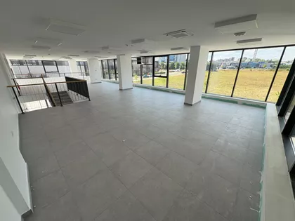 Miodraga Vlajića Šuke | 4zida.rs