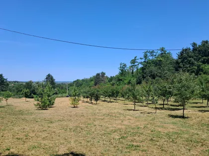 Gradske lokacije | 4zida.rs