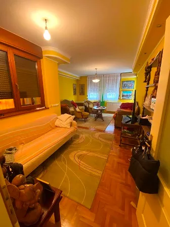 Ulofa Palmea | 4zida.rs