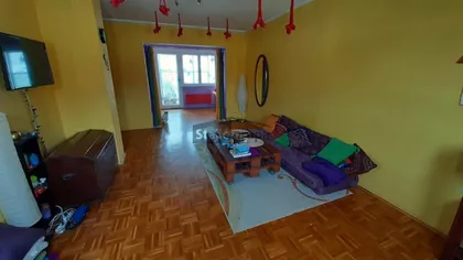 Dr Ivana Ribara | 4zida.rs