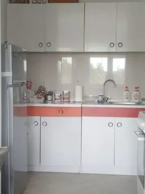 Zrenjanin, Lesnina | 4zida.rs