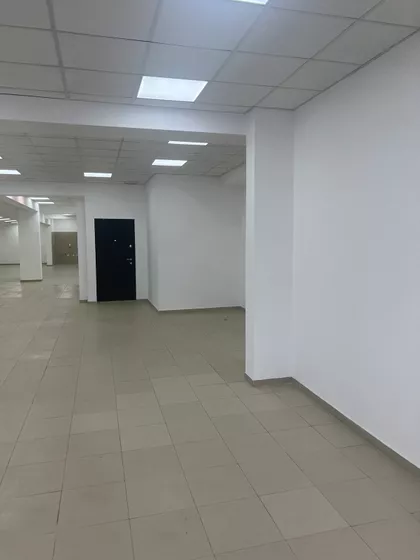 Vojvode Škopljanca | 4zida.rs