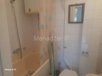 Žila Verna | 4zida.rs
