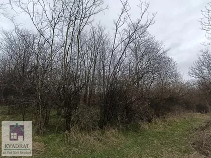 Mala Moštanica | 4zida.rs