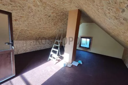 Lole Ribara | 4zida.rs