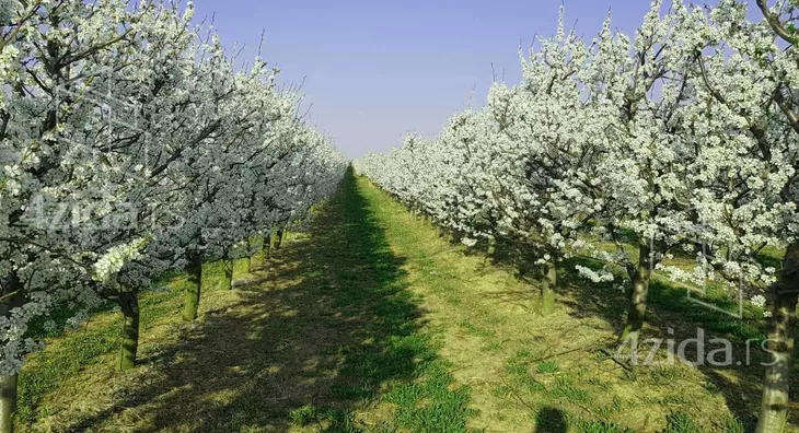 Poljoprivredno zemljište | 4zida