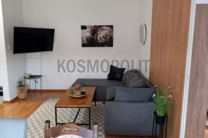 Vojvode Stepe Stepanovića | 4zida.rs