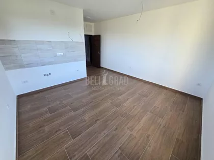 Belog narcisa | 4zida.rs