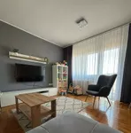 Lesnina, Gradske lokacije, Zrenjanin | 4zida.rs | 4zida.rs