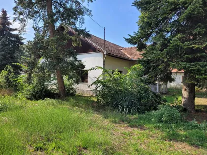 Zelengorska | 4zida.rs