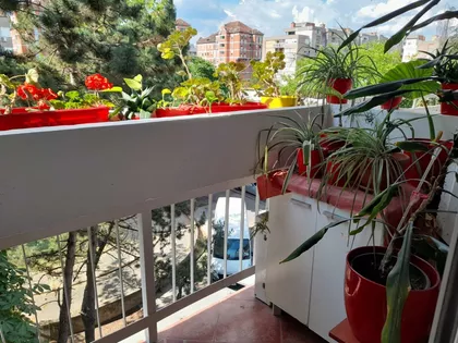 Balzakova | 4zida.rs