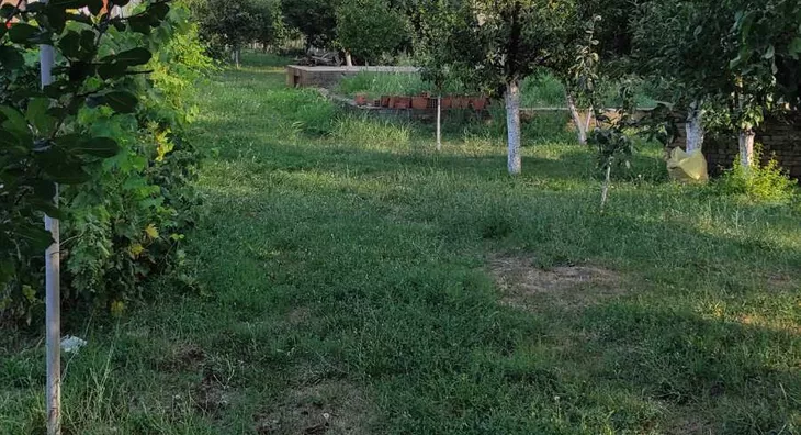 Plac | 4zida