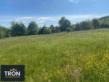 Nemanjina | 4zida.rs