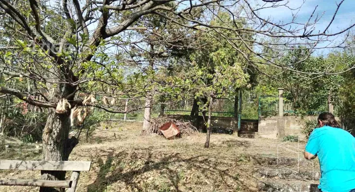 Poljoprivredno zemljište | 4zida