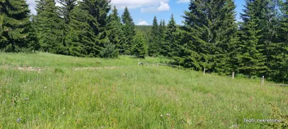 Odvraćenica-Ski centar Golija | 4zida.rs