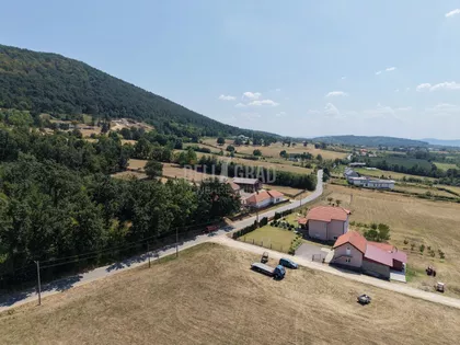 Potes Tavančić | 4zida.rs