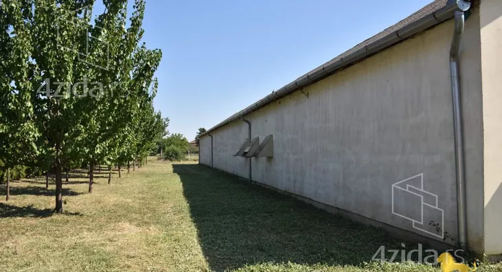 Plac | 4zida