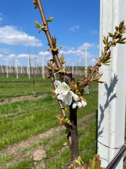 Gradske lokacije | 4zida.rs