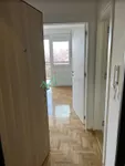 Telep, Gradske lokacije, Novi Sad | 4zida.rs | 4zida.rs