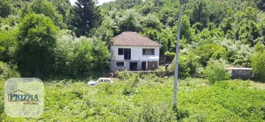 Grza