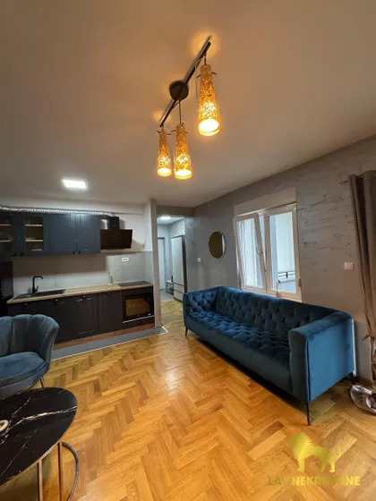 JERNEJA KOPITARA | 4zida.rs