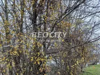 Popovica, Sremska Kamenica, Gradske lokacije, Novi Sad | 4zida.rs