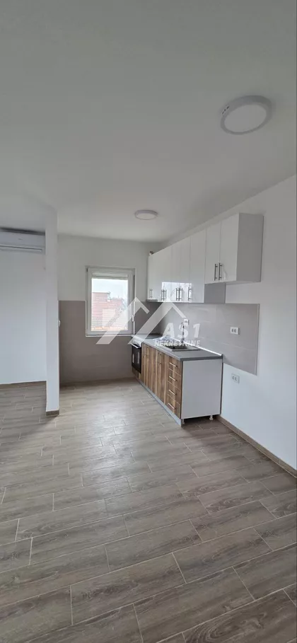 Ive Lole Ribara | 4zida.rs