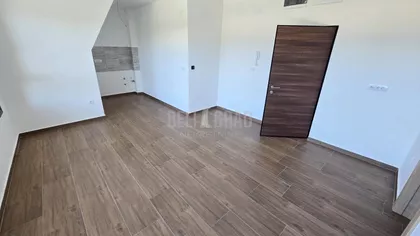 Belog narcisa | 4zida.rs