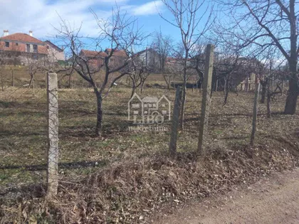 Ledena Stena | 4zida.rs