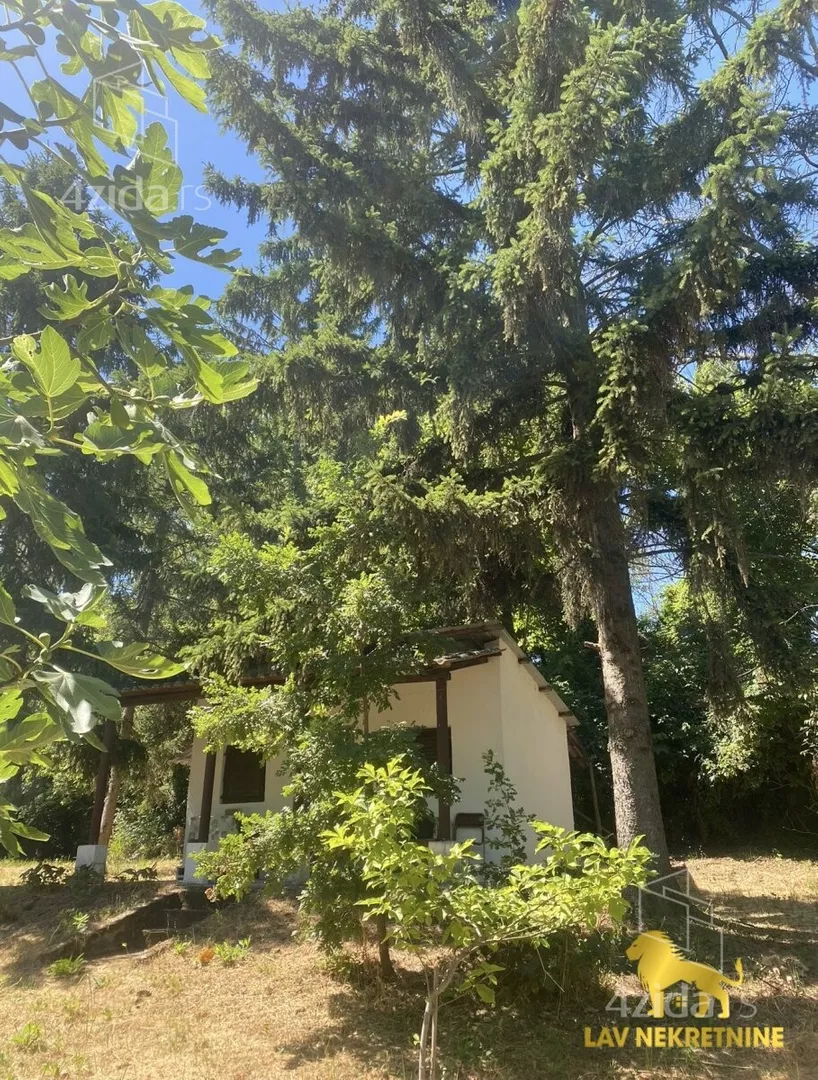 Plac | 4zida
