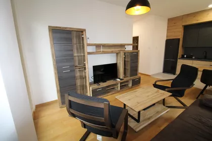 Južni Telep | 4zida.rs